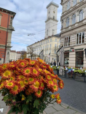 Апартаменти в центрі міста, Lviv